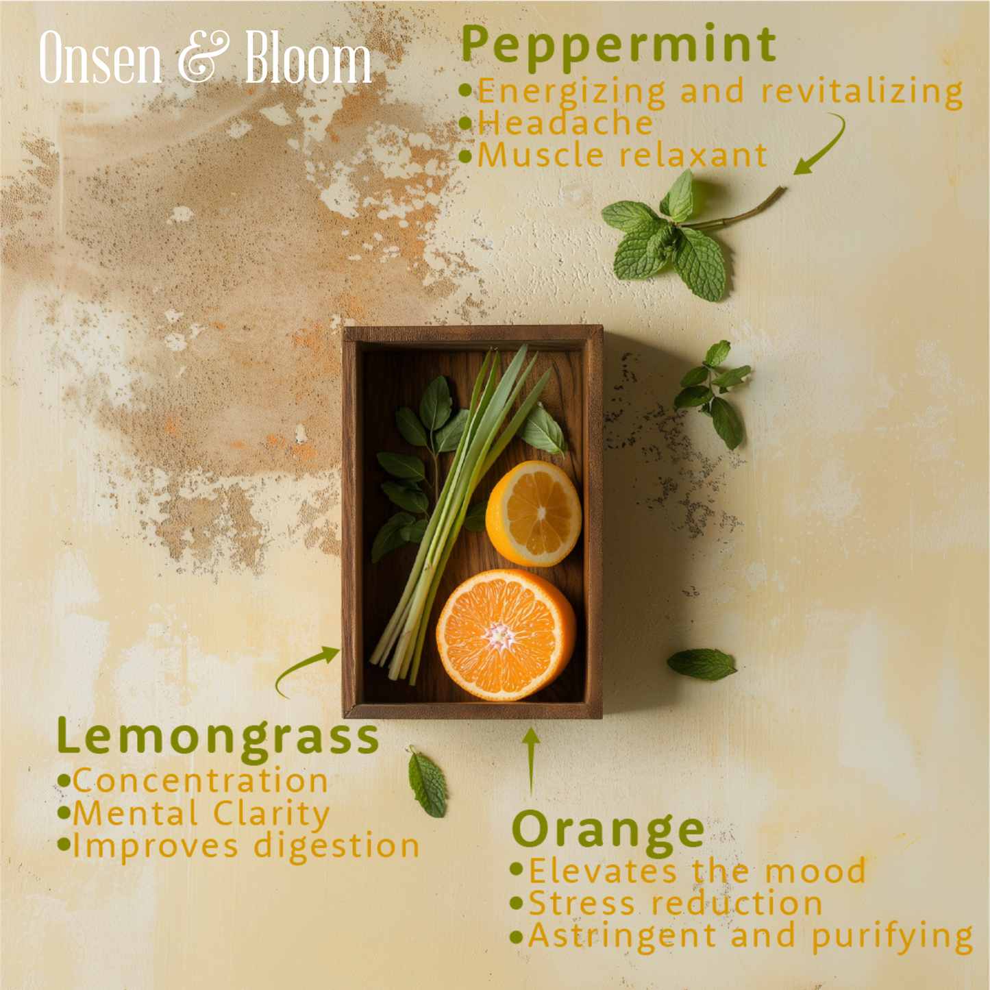 VITALITY Shower Steamers - Peppermint, Lemongrass and Orange - 15 Pack
