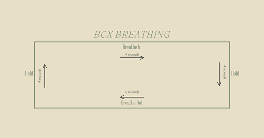 Catching Your Breath: How Box Breathing Can Be Your Calm Amidst the Chaos