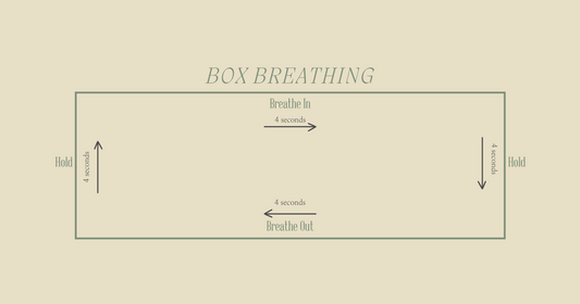 Catching Your Breath: How Box Breathing Can Be Your Calm Amidst the Chaos